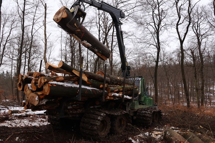 Forestal